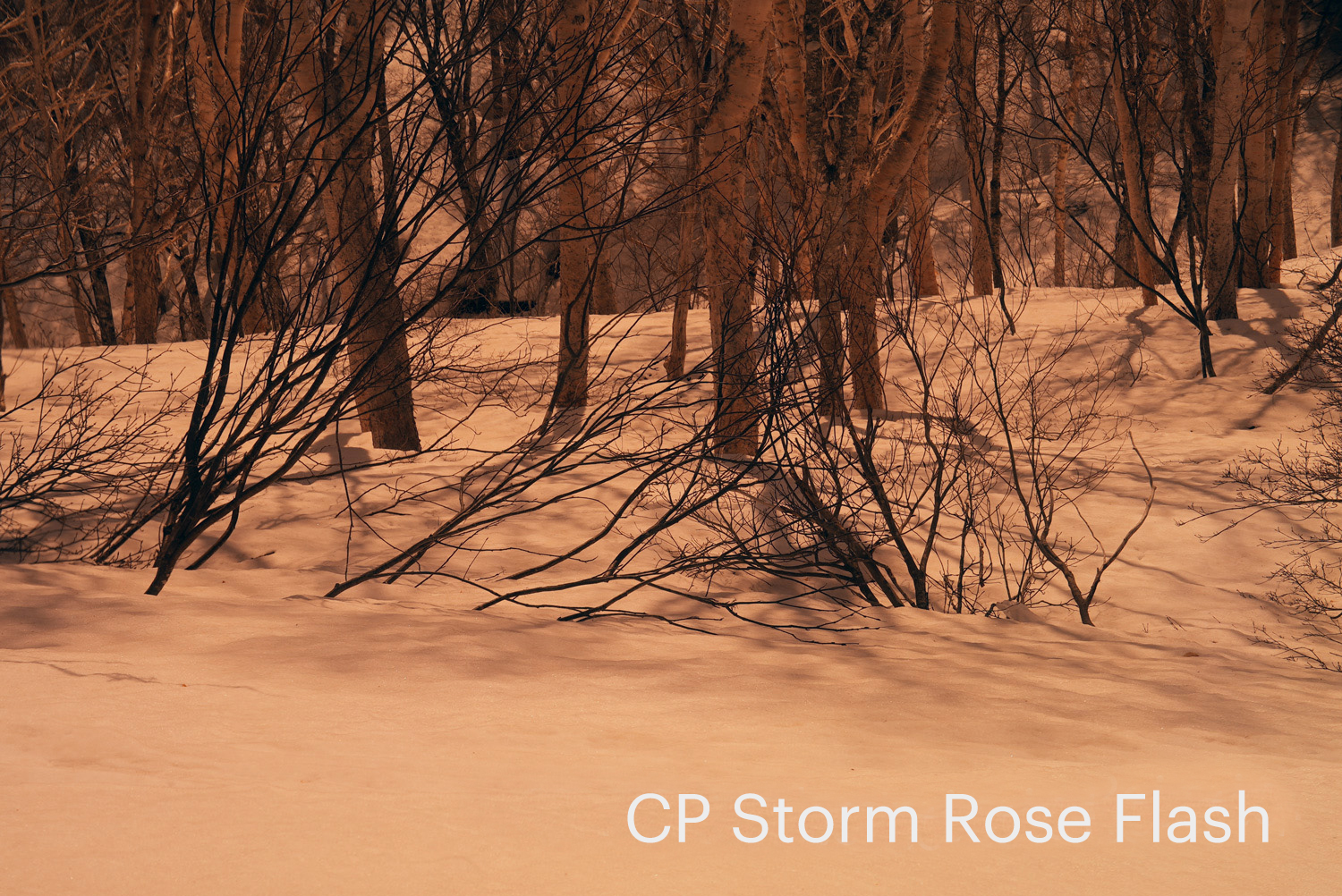 Smith Online Shop / CP Storm Rose Flash